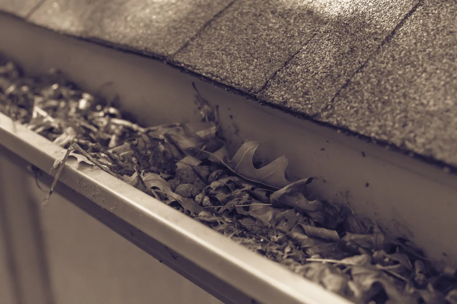 Pinson Gutter Cleaning