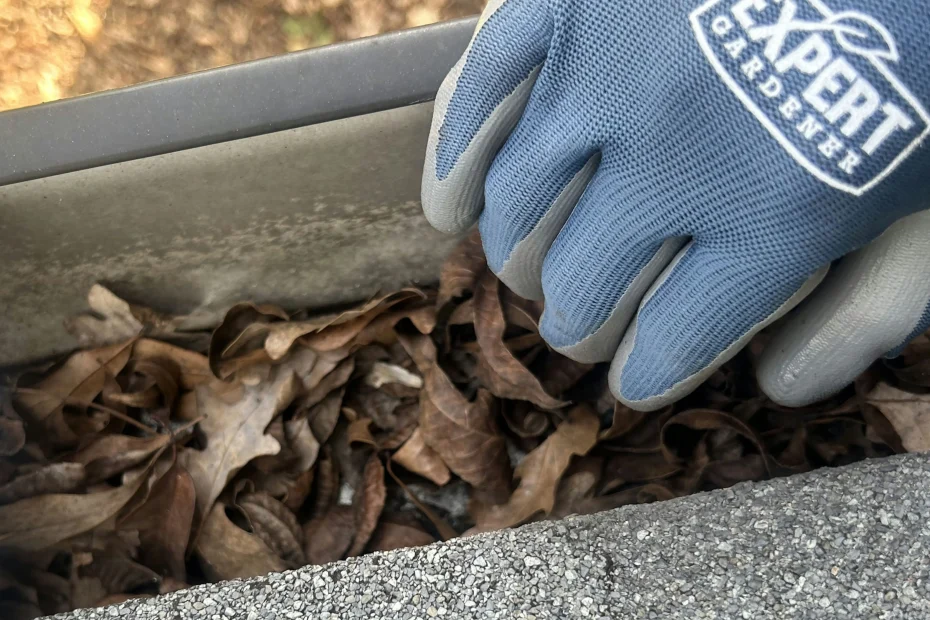 Pinson Gutter Cleaning
